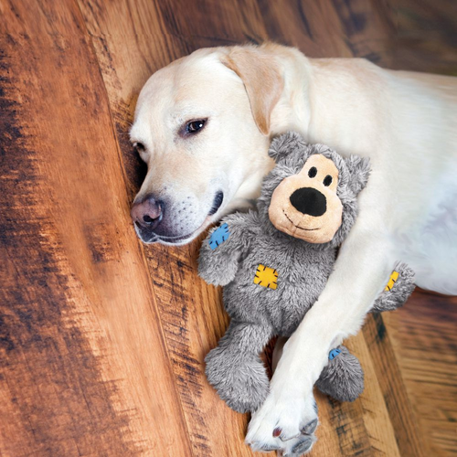 Kong Wild Knots Bear Hearts Dog Toy
