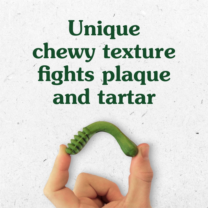 Greenies Large Original Dental Dog Chews