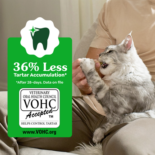 Feline Greenies Adult Dental Oven Roasted Chicken Flavor Cat Treats