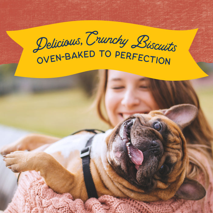 Natural Balance Rewards Crunchy Biscuits With Real Salmon Small Breed  Dog Treats
