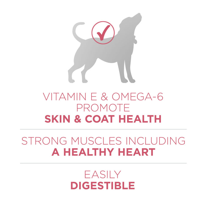 Purina ONE +Plus Skin & Coat Formula Dry Dog Food