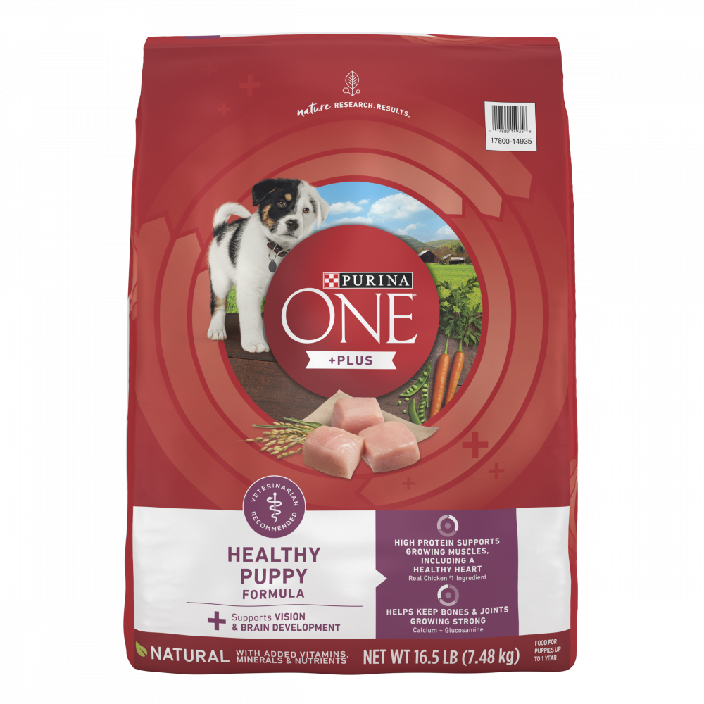 Purina ONE Healthy Puppy Chicken Recipe Dry Dog Food