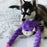 ZippyPaws Monkey RopeTugz Plush Dog Toy